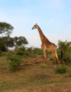 Les destinations atypiques pour la St Valentin