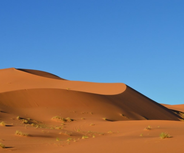 Une nuit dans le désert du Sahara au Maroc