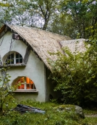 Voyager en avion avec un chien : risques et informations utiles