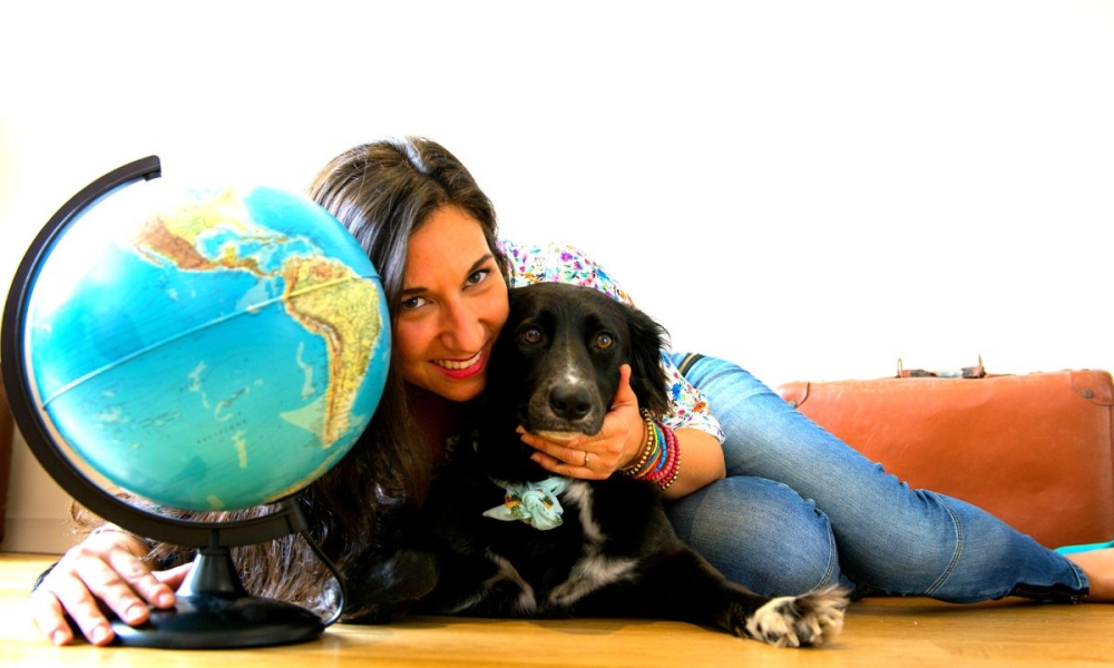 Voyager en avion avec un chien : risques et informations utiles