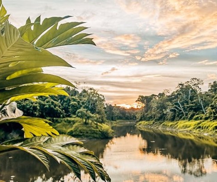 Vivre une expérience au cœur de l’Amazonie