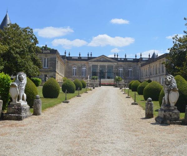 Saint-Emilion : nos châteaux incontournables