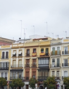 Voyager avec un chien au Chili