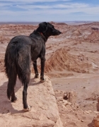 La Bretagne : nos incontournables