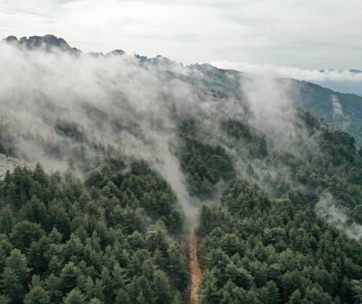 La Corse du sud : nos incontournables