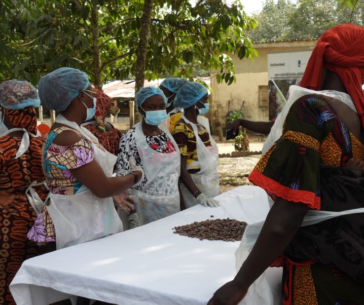 La Côte d’Ivoire, le pays de l’or brun