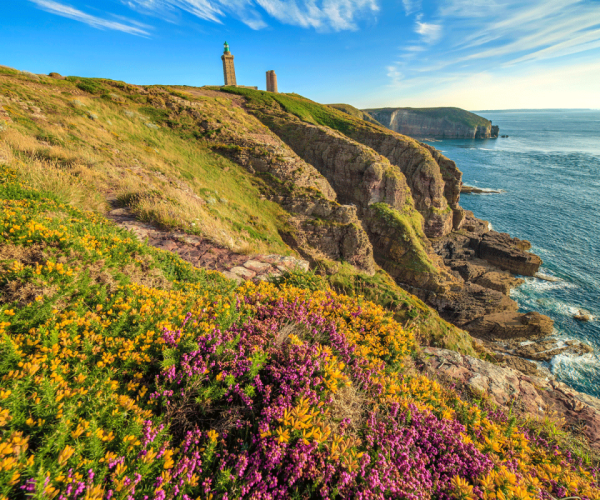 Guide de voyage : vacances en Bretagne, nos indispensables !