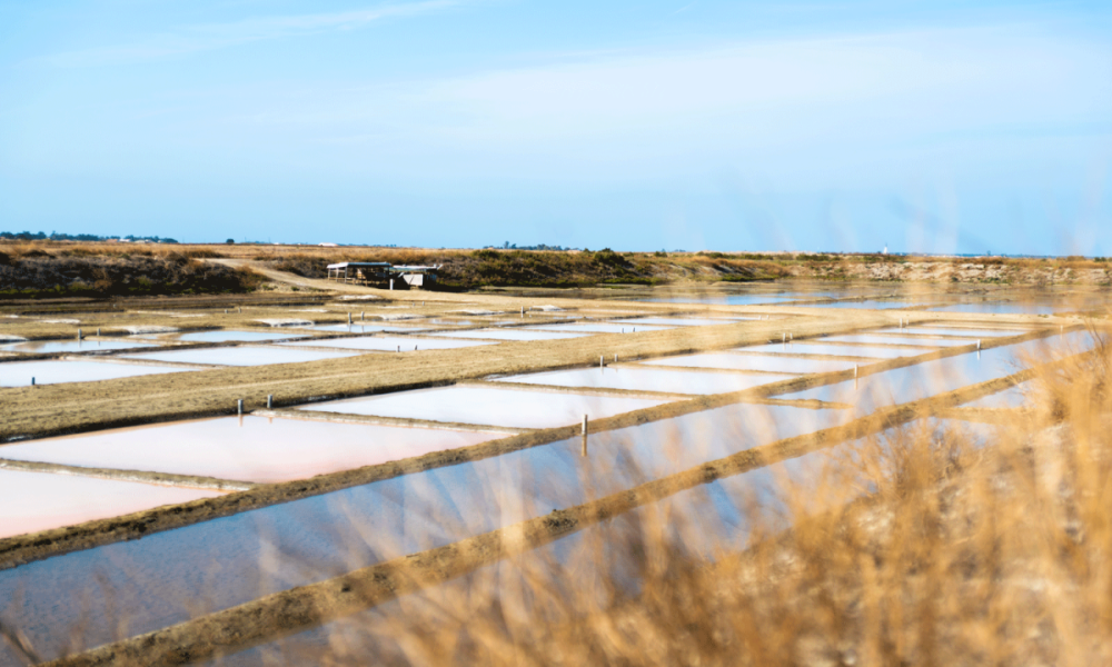 Guide de voyage : vacances sur l’Île de Ré, nos indispensables !