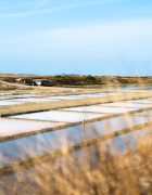 Nos essentiels pour un road trip