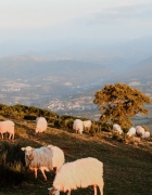 Otentic Eco tent Experience : un logement insolite à l’île Maurice