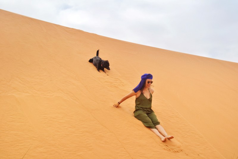 voyage au maroc avec chien