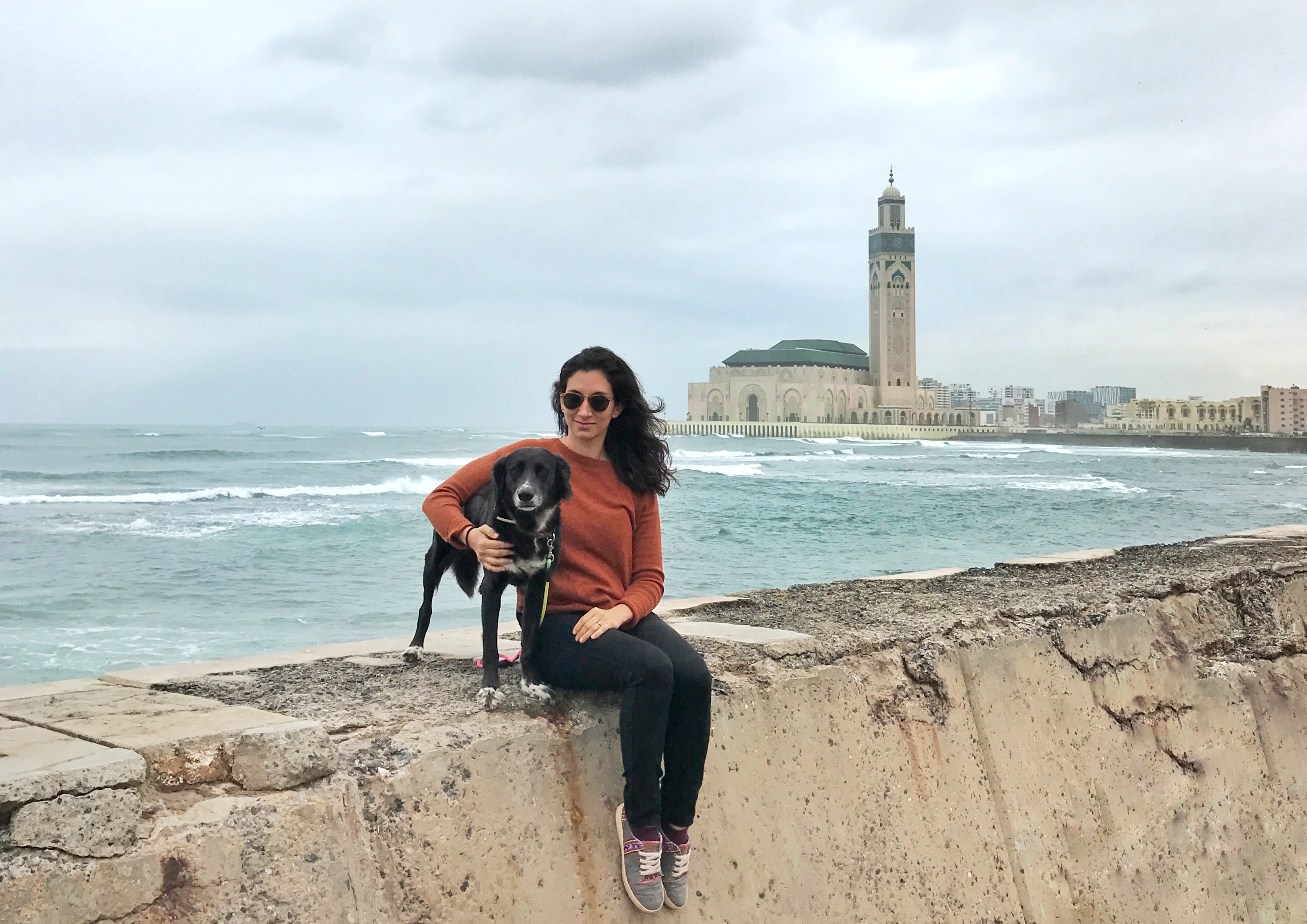 voyage au maroc avec chien
