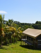 Voyager avec un chien au Maroc