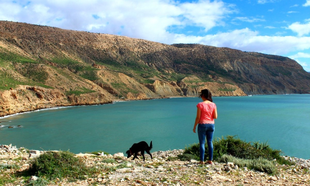 Voyager avec un chien au Maroc