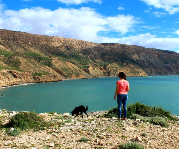 Voyager avec un chien au Maroc