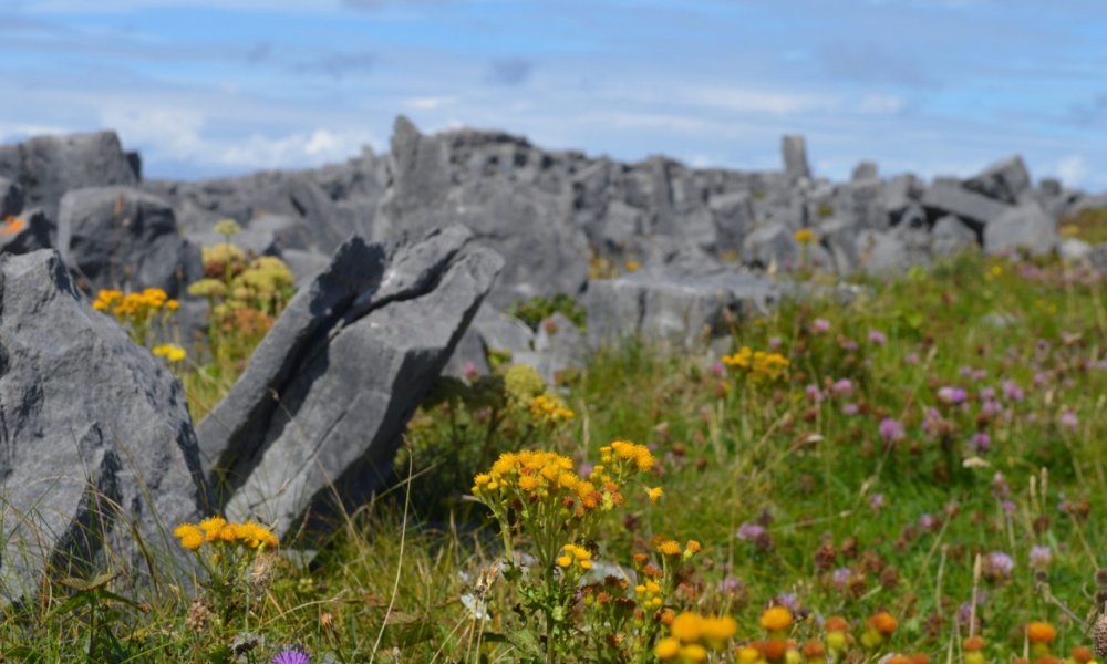 Inishmore : l’île incontournable des îles d’Aran et de l’Irlande !