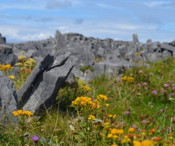 Inishmore : l’île incontournable des îles d’Aran et de l’Irlande !