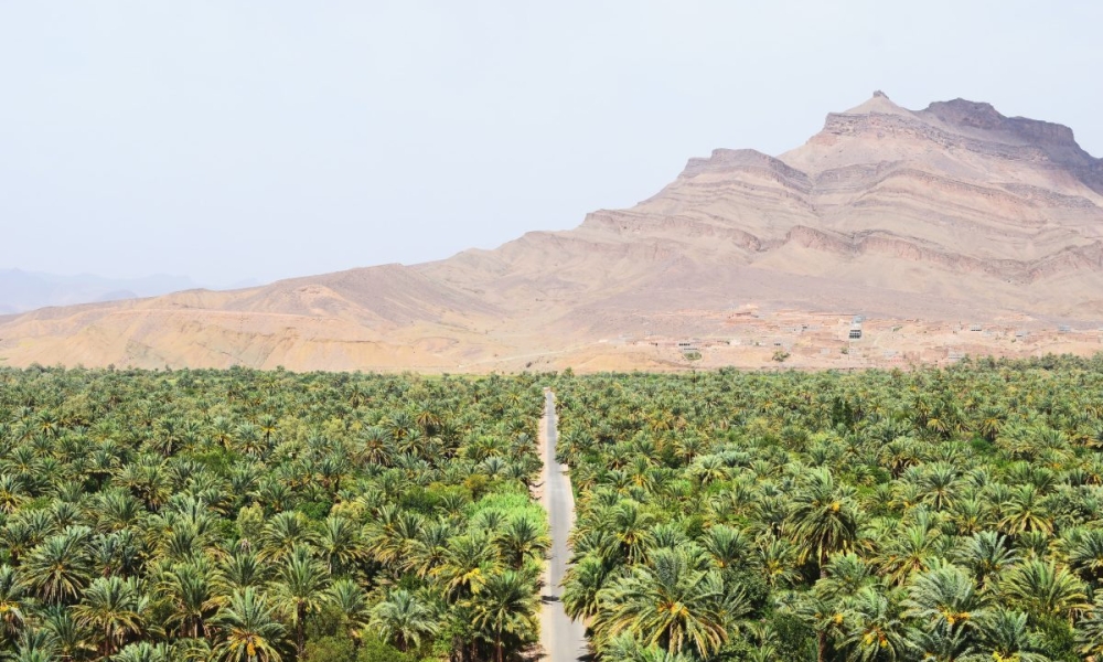 Guide de voyage : Maroc, un séjour envoûtant 