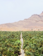 Guide de voyage : des vacances inoubliables au cœur du Jura