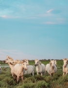 Cantabrie : nos incontournables