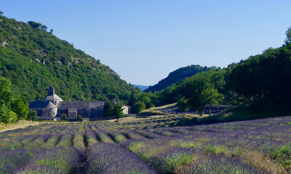 Guide de voyage : vacances en Provence, nos indispensables !