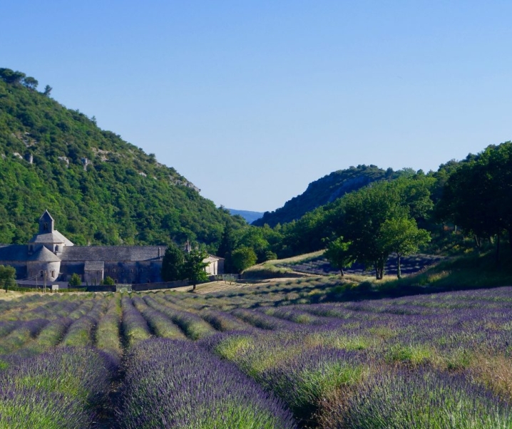 Guide de voyage : vacances en Provence, nos indispensables !