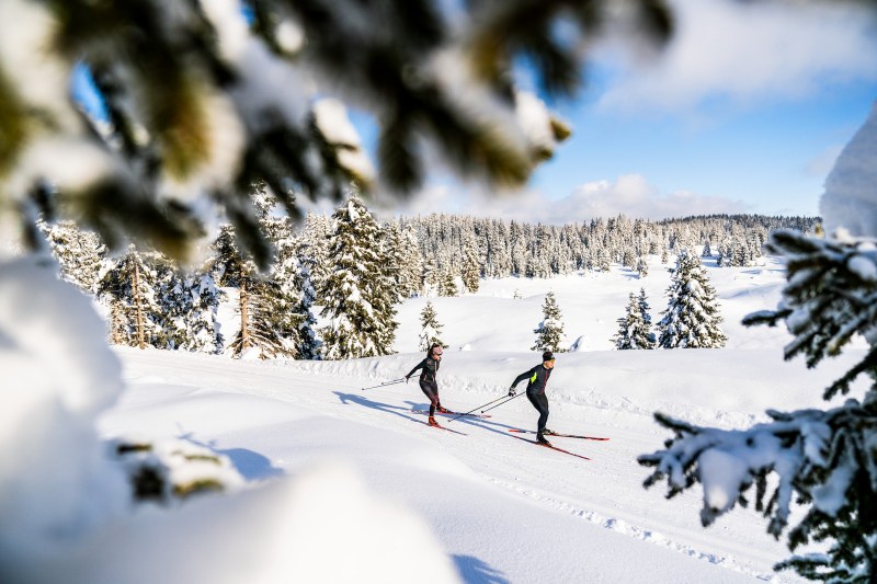 ski de fond