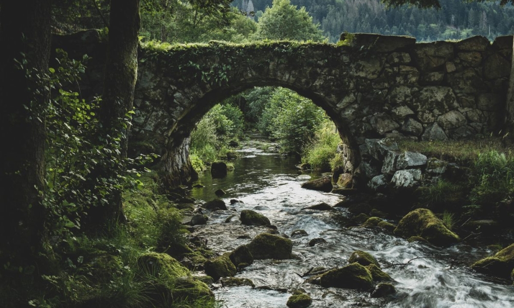 Guide de voyage : un séjour au vert dans les Vosges
