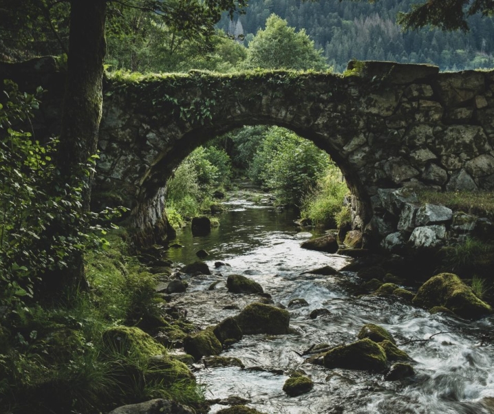 Guide de voyage : un séjour au vert dans les Vosges