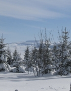 Guide de voyage : vacances en Jamaïque, nos indispensables !