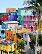 Guide de voyage. À la découverte de la Vendée