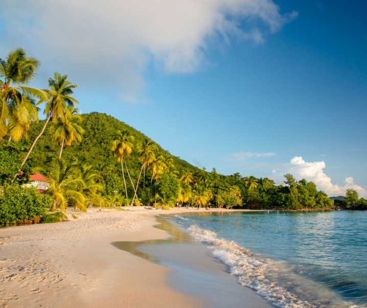 Guide de voyage : vacances en Martinique, nos indispensables !