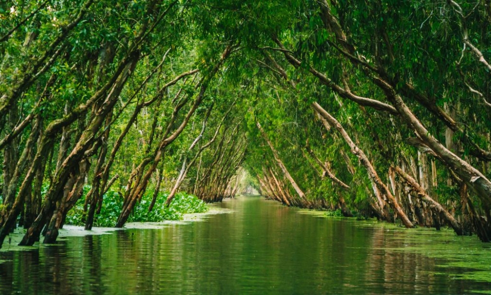 Voyage au fil du Mékong, écotourisme au Vietnam, au Laos et au Cambodge