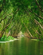 Nouvel An chinois, un événement célébré dans le monde entier