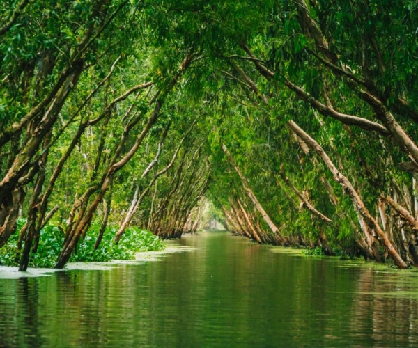 Voyage au fil du Mékong, écotourisme au Vietnam, au Laos et au Cambodge
