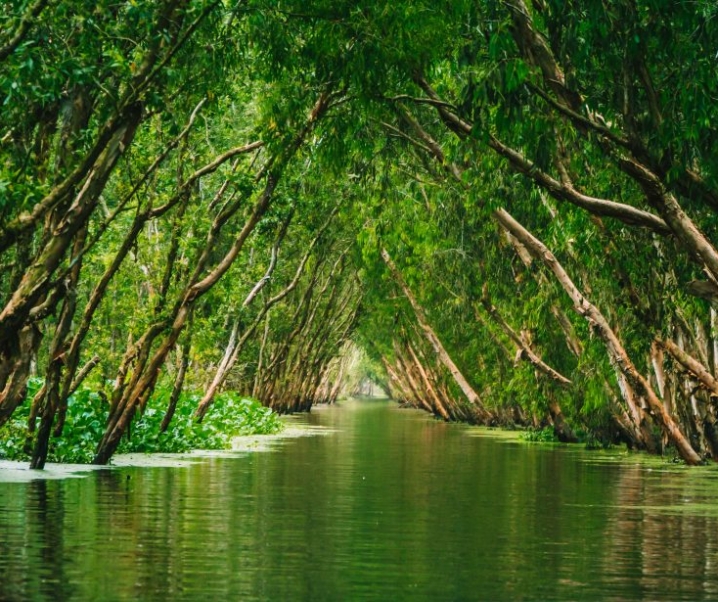 Voyage au fil du Mékong, écotourisme au Vietnam, au Laos et au Cambodge