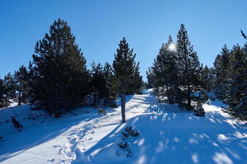 Vacances au ski : 30 stations accessibles en train depuis Paris 