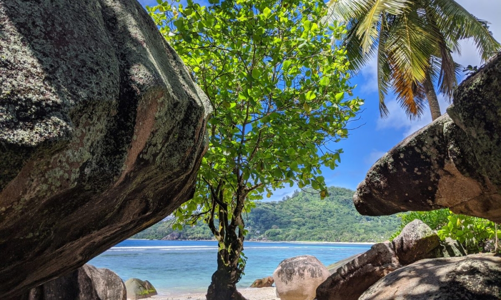Les Seychelles, hors des sentiers battus