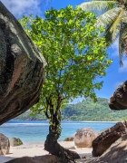 Les solutions pour des vacances écologiques au ski