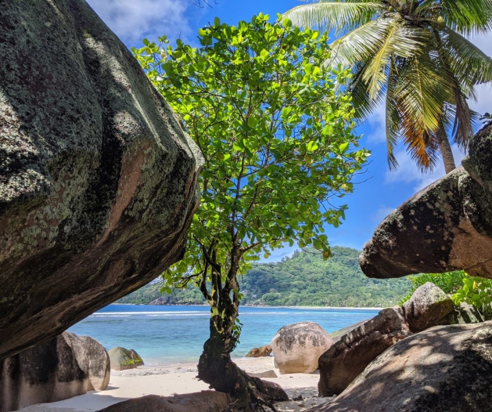 Les Seychelles, hors des sentiers battus