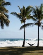 Vacances en Louisiane, nos indispensables !