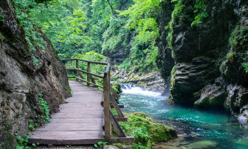 Guide de voyage : vacances en Slovénie, nos indispensables !