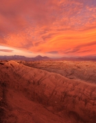 Le monde lève son verre pour la Saint-Patrick !