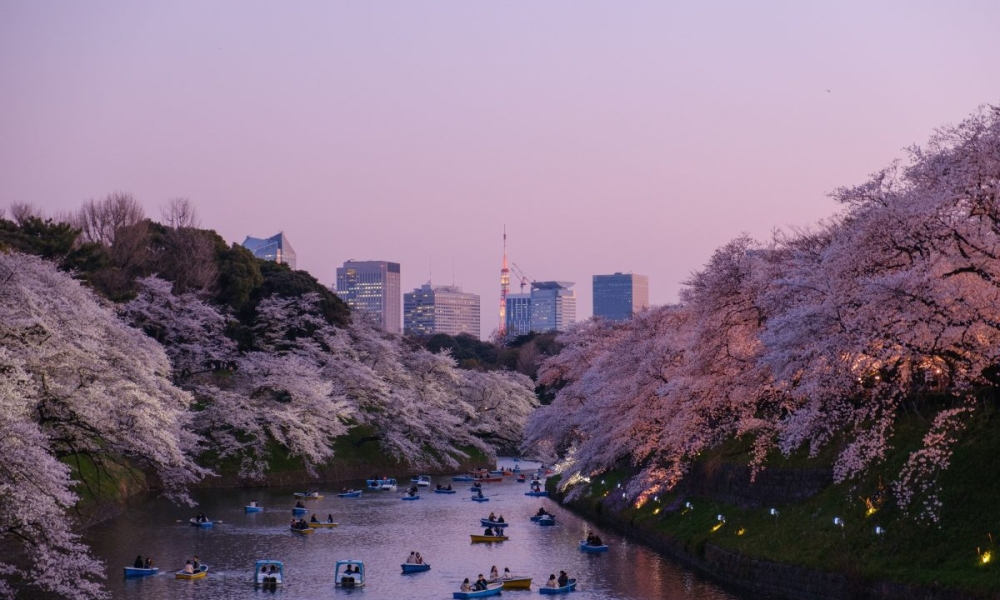 Guide de voyage : vacances au Japon, nos indispensables !