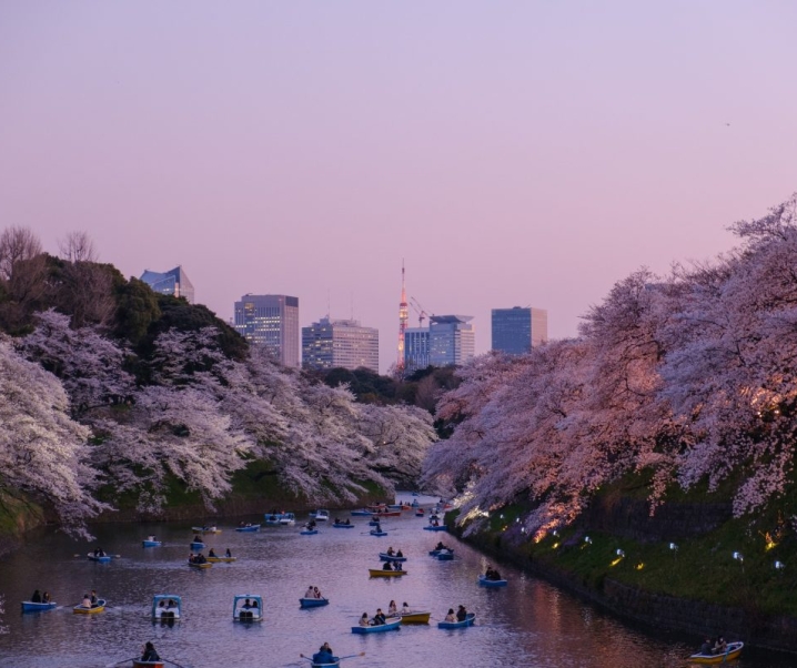 Guide de voyage : vacances au Japon, nos indispensables !