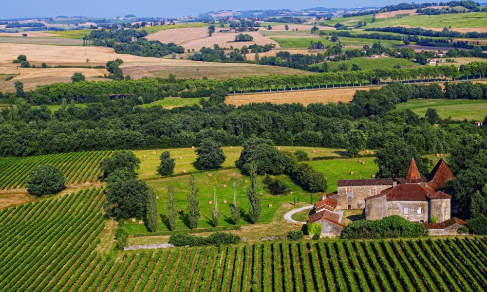 Vins, Armagnac & Floc, l’œnotourisme dans le Gers