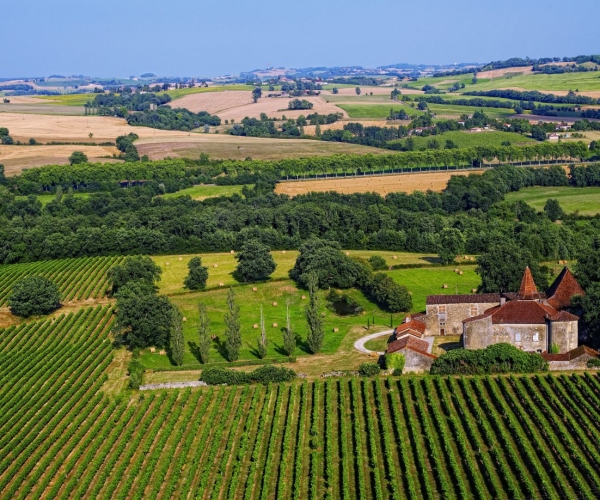 Vins, Armagnac & Floc, l’œnotourisme dans le Gers